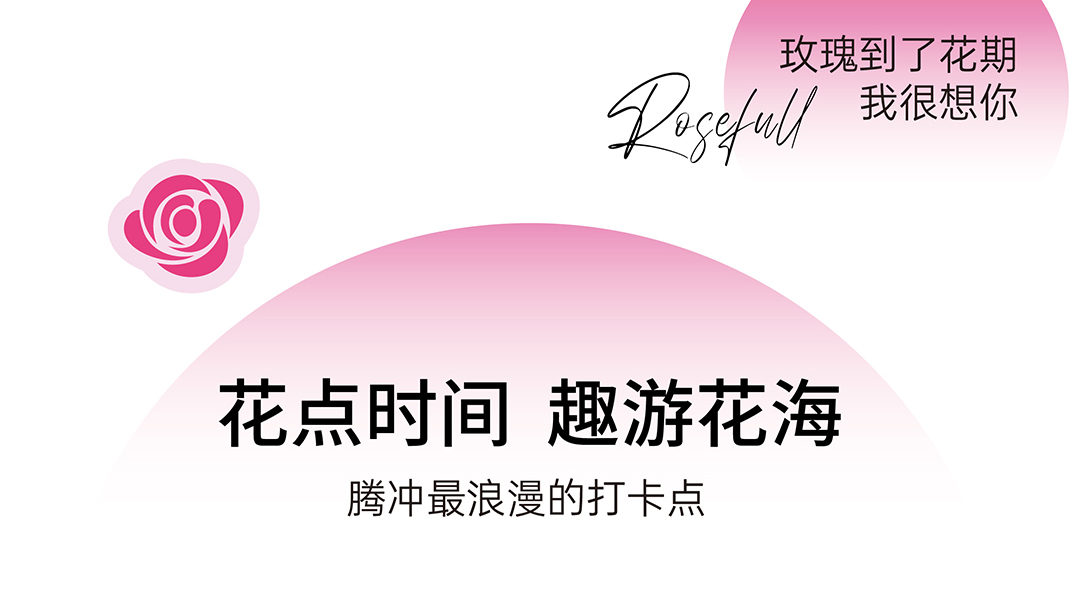 五一浪漫打卡點丨恒益南玫莊園玫瑰采摘節